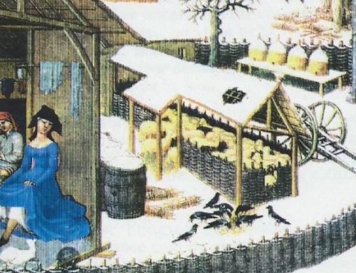 1285 – 1396 | La charte de la bastide